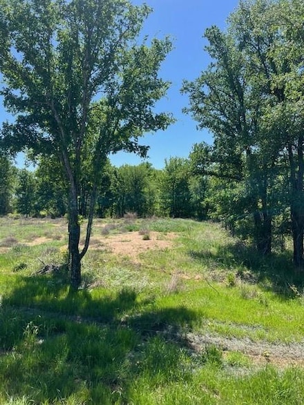 1008 Bermes Ct, Brock, TX 76087