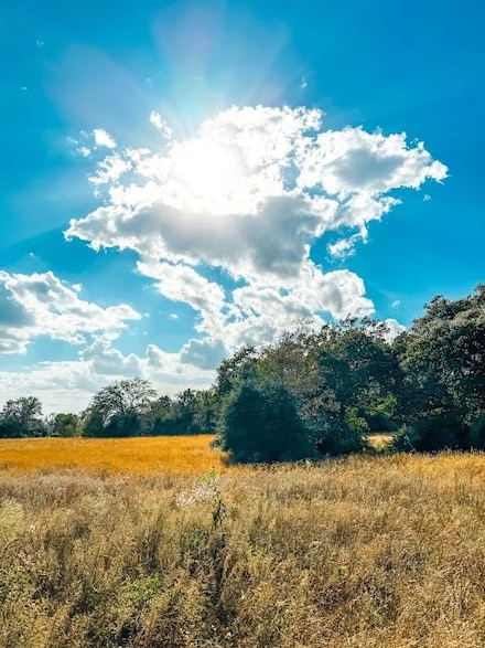 0 County Road 237, Oakwood, TX 75855