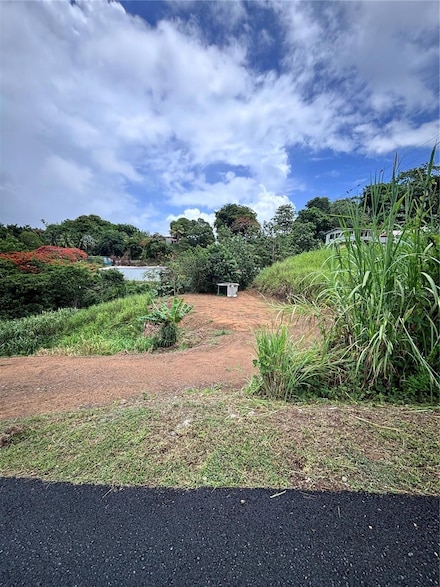 0 Camino Colon, Naranjito, PR 00719