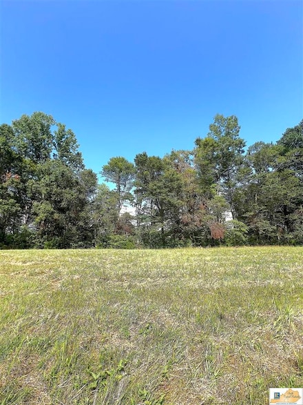 2.63 Meadows Loop, Russell Springs, KY 42642