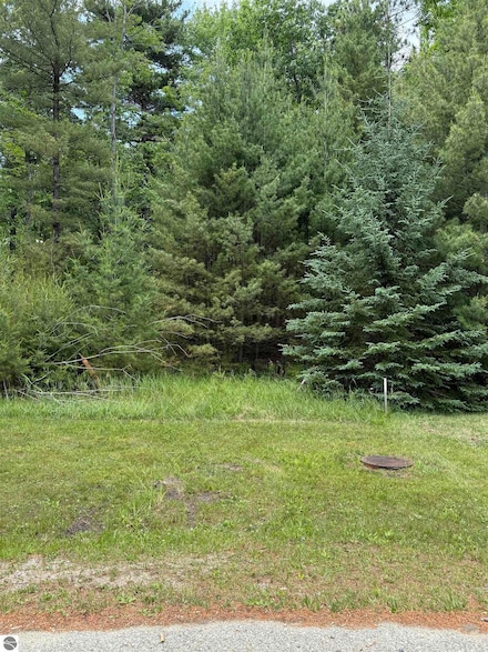741 Manning Ln, East Tawas, MI 48730