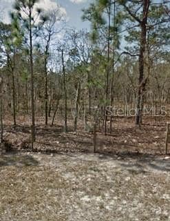 0 NW 142nd St, Williston, FL 32696