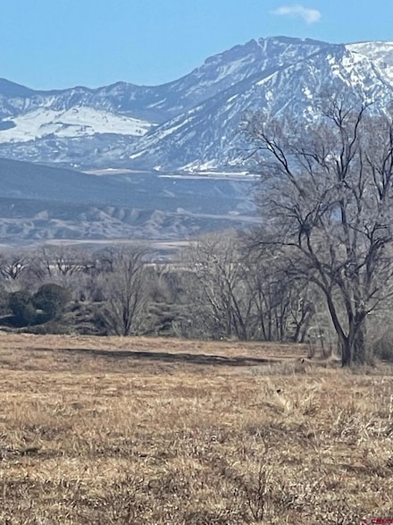 TBD 3000 Rd, Hotchkiss, CO 81419