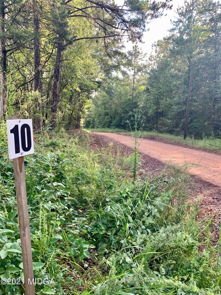 0 Montpelier Springs Rd Unit 10 M162036, Forsyth, GA 31029