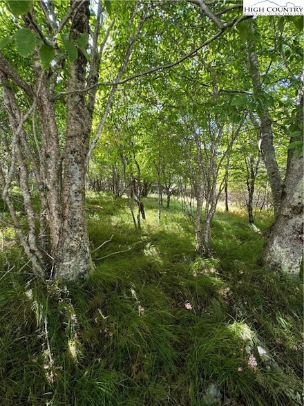 TBD Cranberry Ln, Beech Mountain, NC 28604