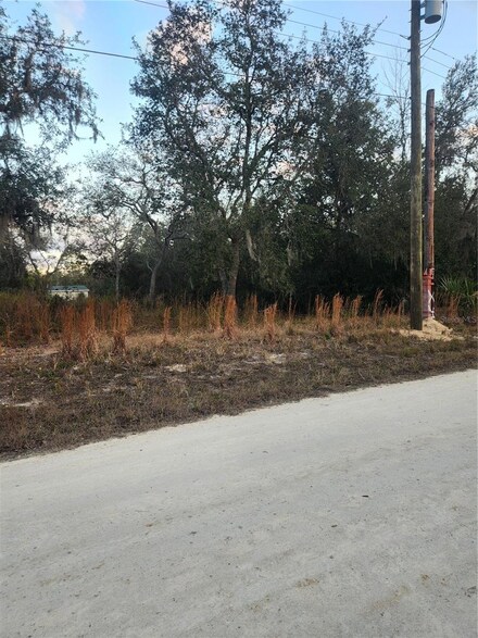 6363 N Sourgum Terrace, Hernando, FL 34442