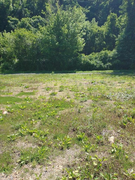 00 Excelsior Bottom Rd, War, WV 24892