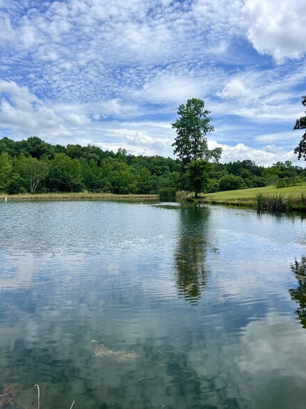 875 Waterloo Rd, Westpoint, TN 38486