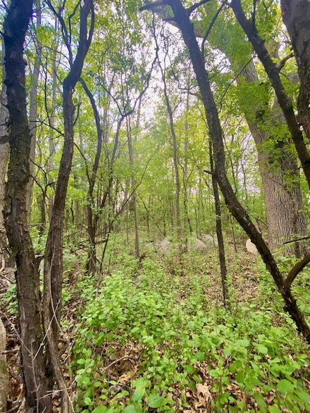 0 Hillside Dr Unit 50308768, Weyauwega, WI 54983
