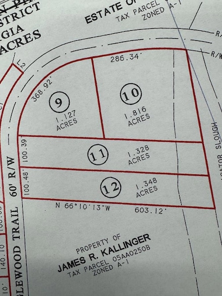 Lot # 12 Tanglewood Trail Subdivision, Georgetown, GA 39854
