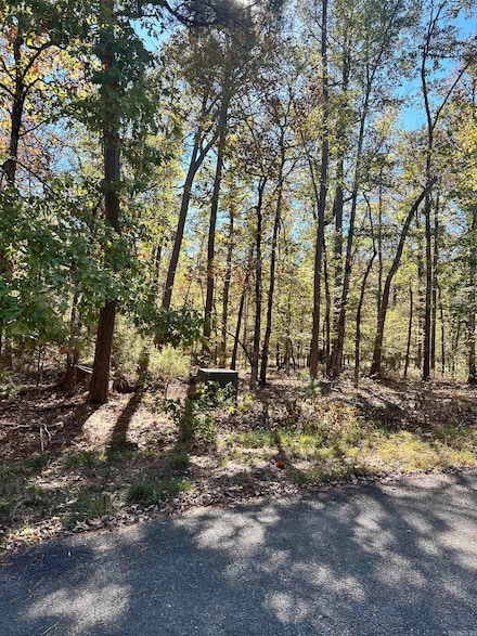 6 Golfista Trace, Hot Springs Village, AR 71909