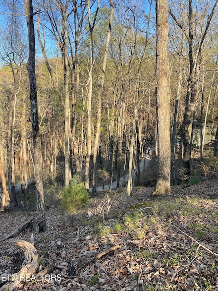 147 Havenridge Cir, Crossville, TN 38558