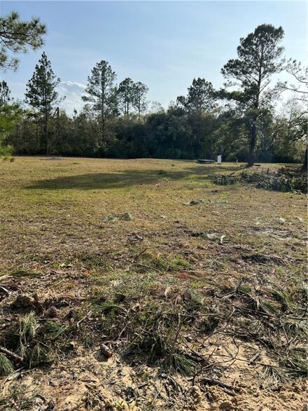 346 Long Lake Rd, Nahunta, GA 31553
