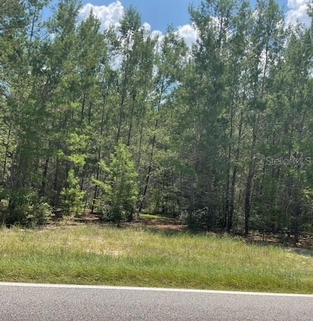 1140 Coral Farms Rd, Florahome, FL 32140
