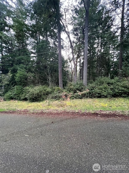 8615 Eckenstam Johnson Rd, Anderson Island, WA 98303