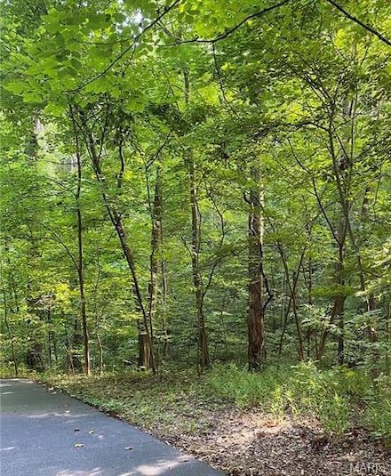 Lot 5 & 6 Commanche Dr, Randol Township, MO 63701