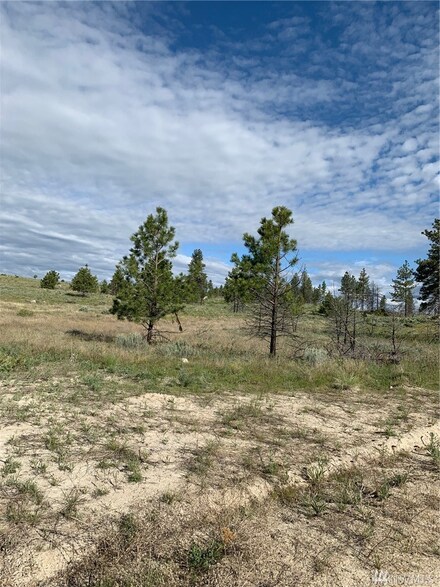 0 Xx-2 Harmony Heights Rd Unit 1497401, Brewster, WA 98812