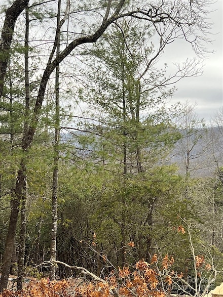 000 Emma Bri Ln Unit F8, Hendersonville, NC 28739
