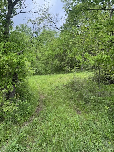 0 Panhandle Rd, Manchester, TN 37355