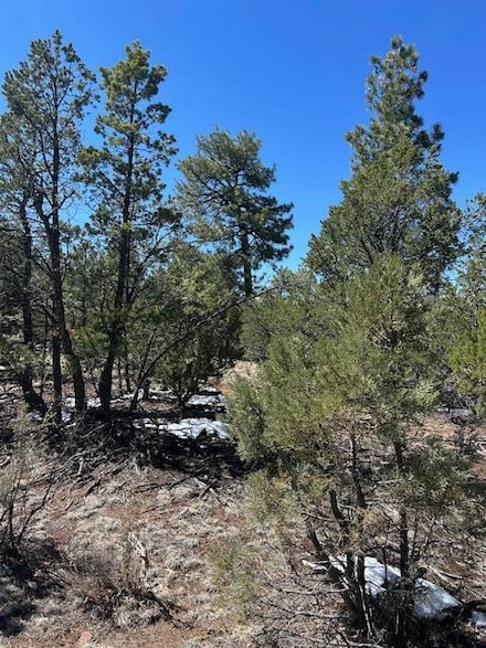 7720 Mogollon Trail, Happy Jack, AZ 86024
