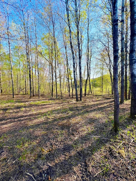 TBD Mallard Place, Sandstone, MN 55072