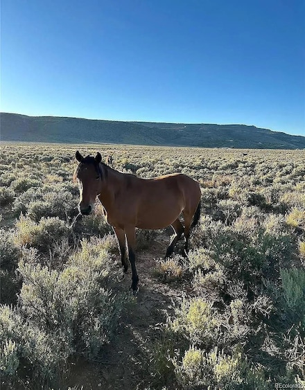 333 W Valley Dr, San Luis, CO 81152