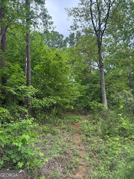 53 Cardinal Ln, Toccoa, GA 30577