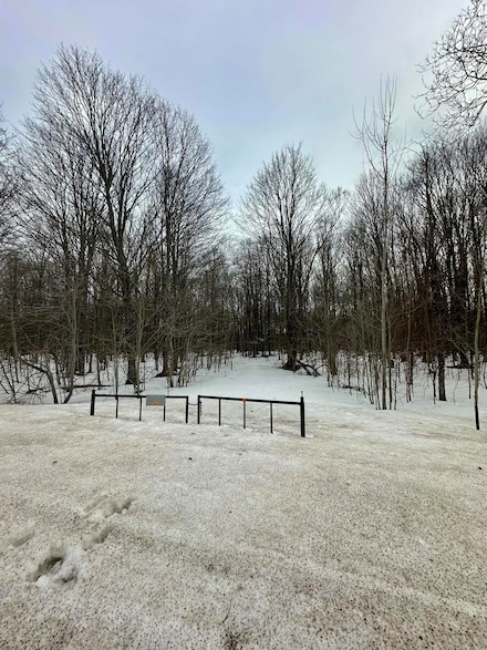 10694 NE Co Rd 612 NE, Kalkaska, MI 49646