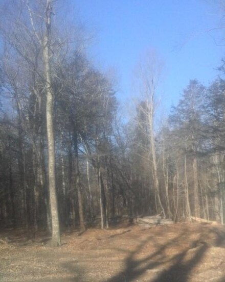 0 North Rd Unit 1480599, Chebeague Island, ME 04110