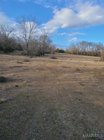 0 Mingo Bracey Rd, Hayneville, AL 36040