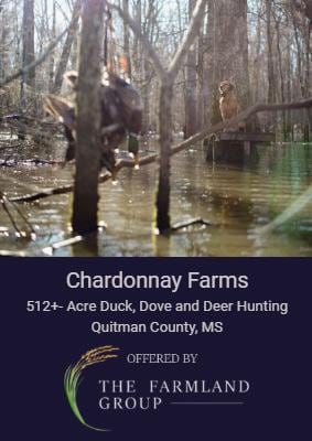 Mississippi 315, Sledge, MS 38670