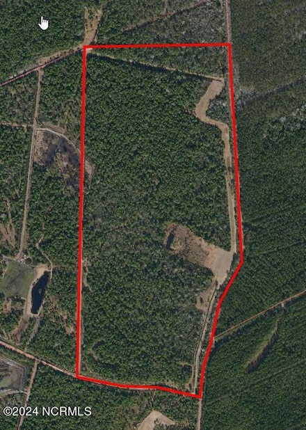 1300 Godwin Rd, Maple Hill, NC 28454