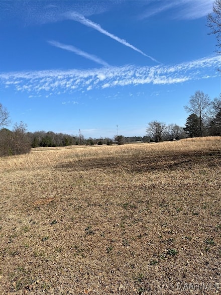 Lts 4 5 6 Seymore Rd, Valley Grande, AL 36701