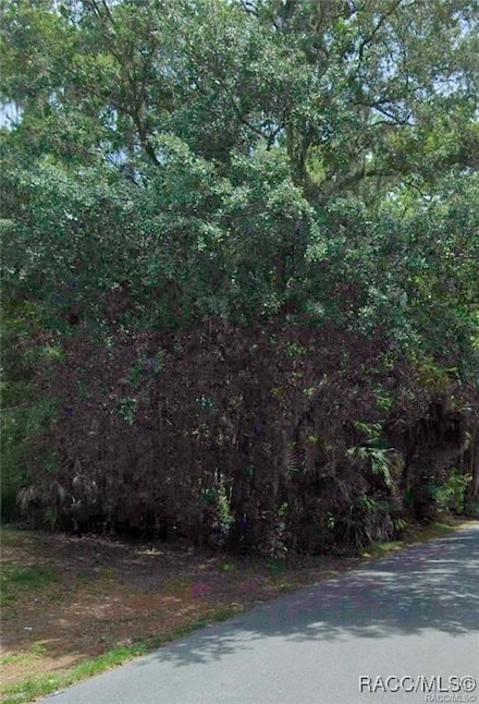 LOT 16 Cr 426 Rd, Lake Panasoffkee, FL 33538