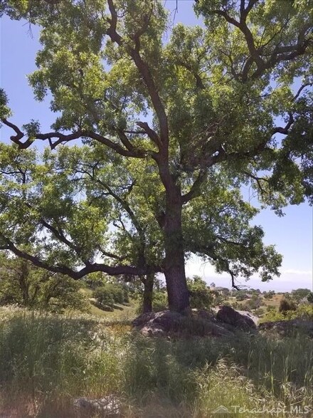 0 Kern Ct, Stallion Springs, CA 93561