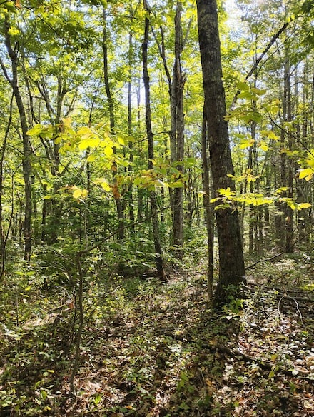 2 Bicknell Rd, Belmont, ME 04952