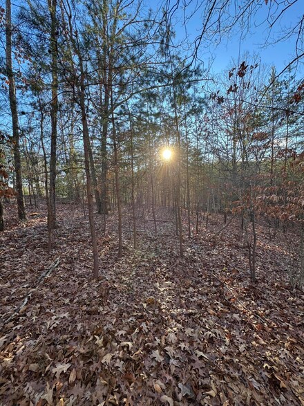 Lot 49 Garrison Ridge, Pittsville, VA 24139