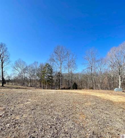 4339 Almo-Shiloh Rd, Dexter, KY 42036