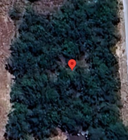 19-21 County Rd Unit 19-21 Cantu Add Unit, Falfurrias, TX 78355