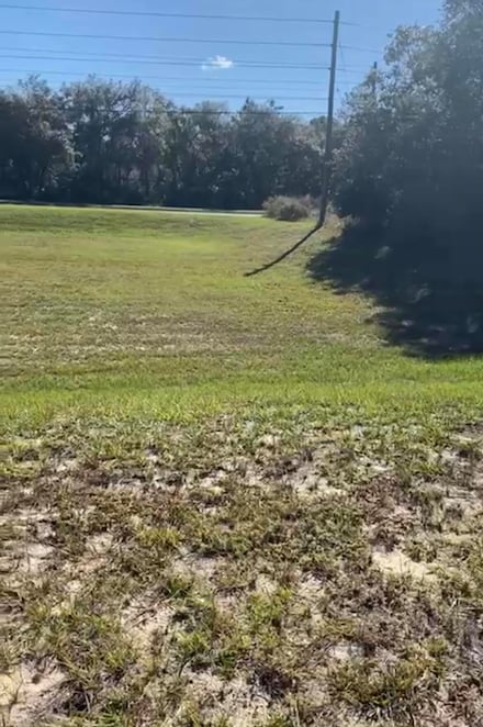 4017 SW 133rd Loop, Ocala, FL 34473