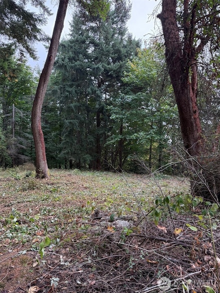 0 nhn Hummingbird Ln, Anacortes, WA 98221