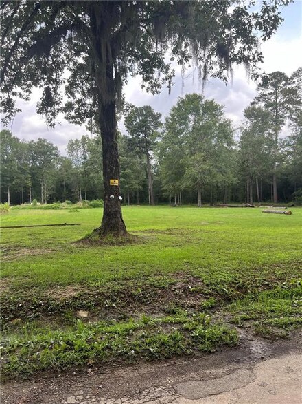 0 Tyler Cemetery Rd, Center Point, LA 71323