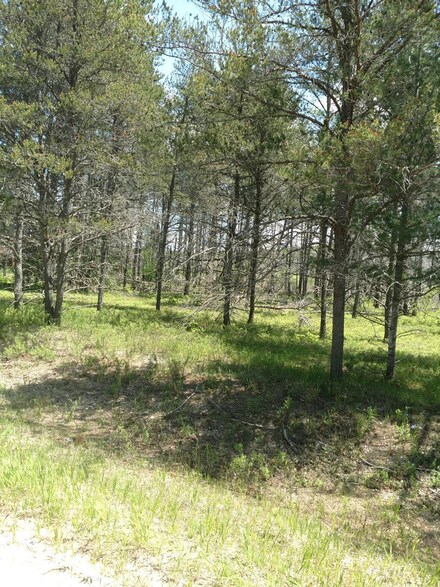 0 Manistee River Rd Unit Lot 34, Grayling, MI 49738