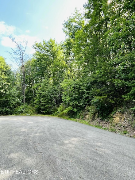 0 Redtail Rd Unit 1302199, Sevierville, TN 37862