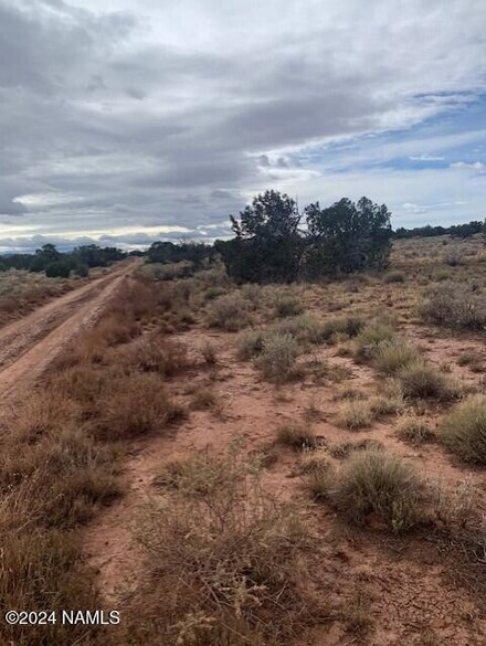 912 S Spruce Rd Unit 376, Williams, AZ 86046
