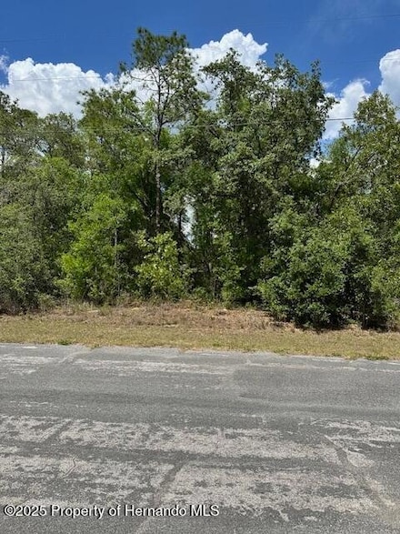 2235 W Summer Place, Citrus Springs, FL 34434