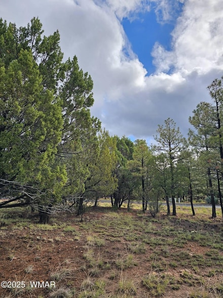 1454 Low Mountain Trail, Heber, AZ 85928
