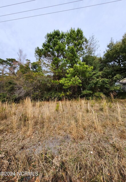 372 Bogue Loop Rd, Newport, NC 28570