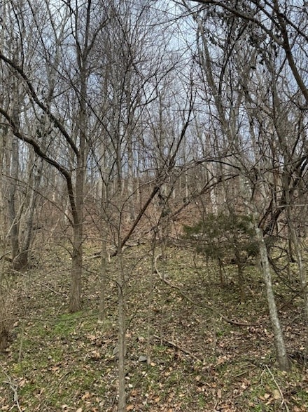 0 Blackberry Ridge Way Unit RTC2803118, Smithville, TN 37166