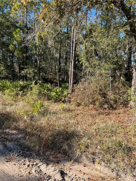 1.0 acre Baker Creek Blackberry Rd, Nahunta, GA 31553